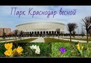 Парк Галицкого ( ФК "Краснодар") ранней весной, первоцветы, 9 марта 2019