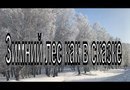 Зимняя сказка. Красота зимнего леса. Новосибирская область.