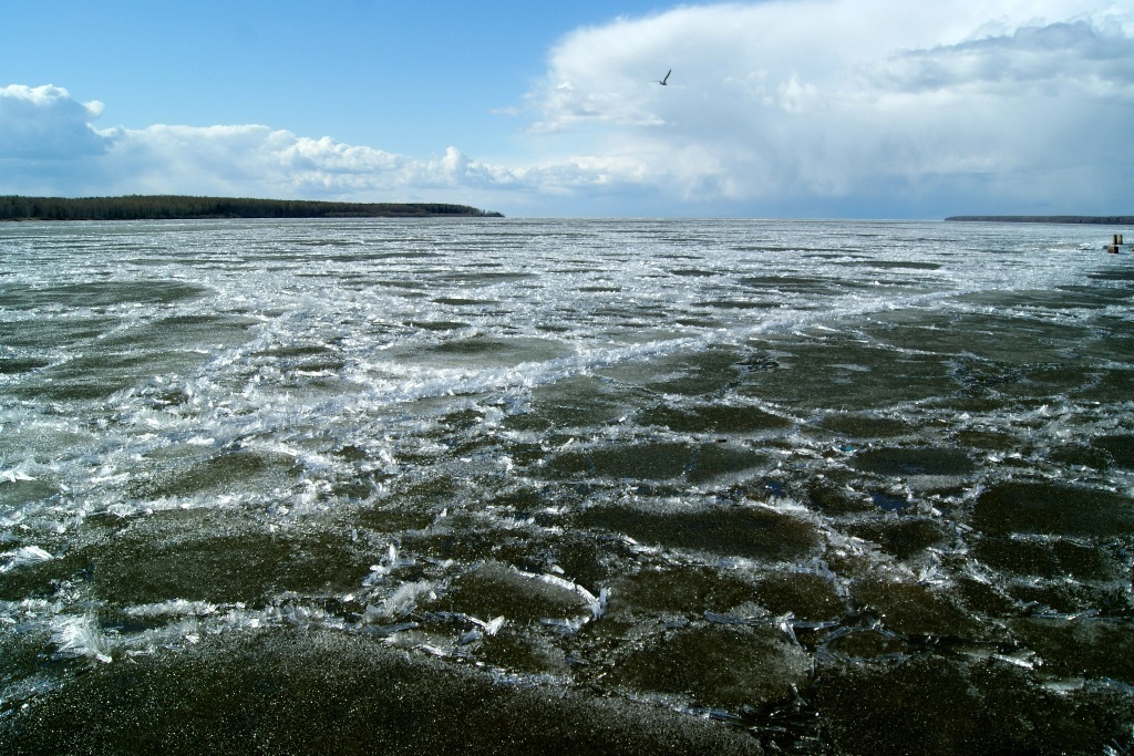 Rybinsk sea