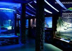 Аквариум и морской зоопарк на Мацесте