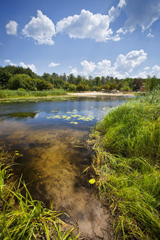 Отдых на реке Усманка Воронежская область