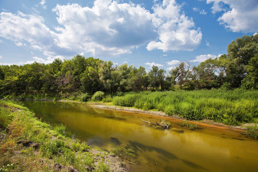Золотая река Бузулук Волгоградская область