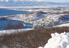Авачинская бухта, Петропавловск и вулканы с Мишенной сопки 