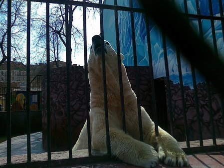 Пермский зоопарк