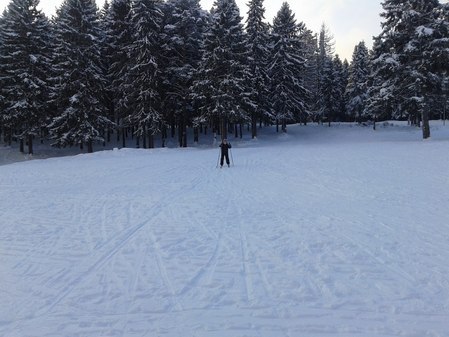 Лыжная база "Динамо"