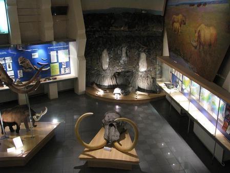 Музей Мамонта