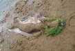 26.07.2014 - конкурс скульптур из песка на ижевском пляже