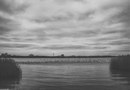 Камыши на озере Мойнаки