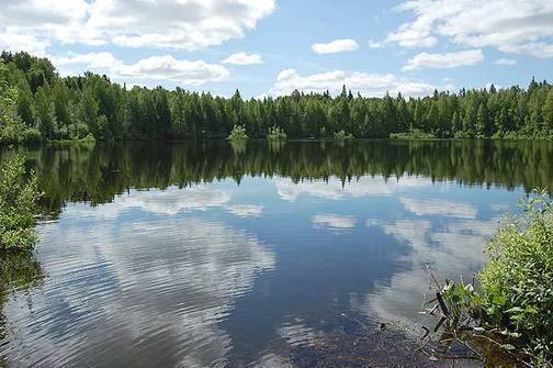 озеро Шайтан и Бушковский лес