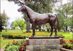 Памятник жеребцу тракенской породы лошадей - Темпельхютеру