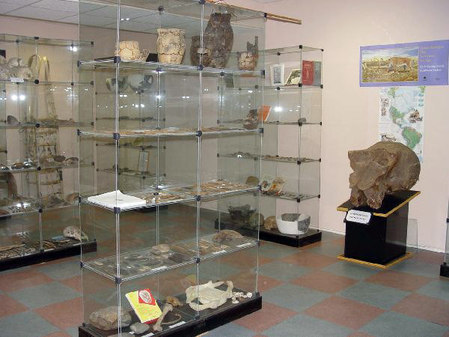 Музей естественной истории 