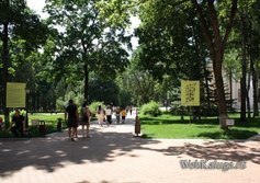 Центральный городской парк Культуры и отдыха