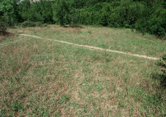 Мельничная поляна (Мурзак-Дегермен-Алан) 