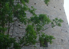 Покровская башня в Пскове