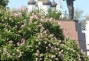 Памятник Ленину в Пскове