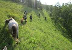 Конные походы с конным клубом "Рысак"