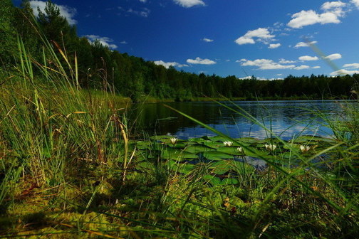 Озеро Глухое