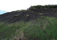 Выходы пластов каменного угля на поверхность на острове Сахалин