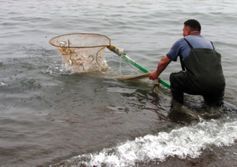 Рыбалка на Сахалине для новичков