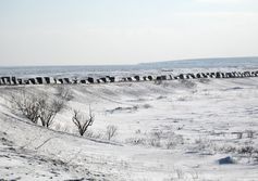 Озеро Лебяжье в Долинском районе Сахалинской области