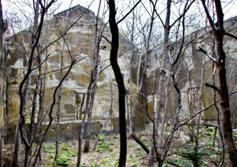 Руины японской электростанции в поселке Новиково