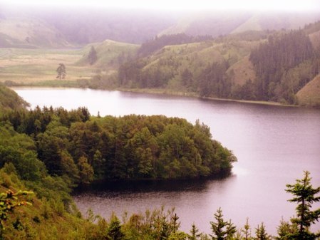 Озеро Лебяжье закрытое и с космоса больше похоже на черепаху.