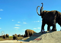 Самое большое в мире стадо Мамонтов в Маньчжурии возле Забайкальска