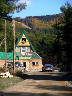 Кафе-бар «Лесной Бор» на базе отдыха «Динамо»