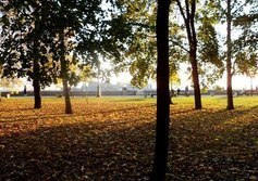Петровский парк в Кронштадте