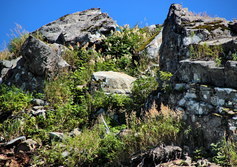 Малоизученные скалы Западно-Сахалинских гор, возможно с петроглифами