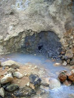 Фумаролы и сернистые источники (сольфатары) вулкана Менделеева на Кунашире 