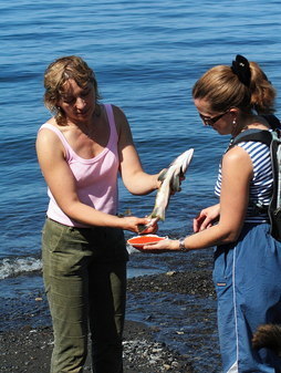 Особенности рыбалки (голыми руками, но чаще ногами) на Сахалине