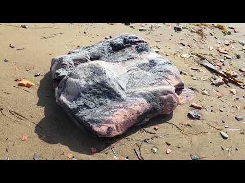 Выходы пластов каменного угля на поверхность на острове Сахалин