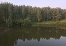 Живописное лесное озеро. Тогучинский район река Каменка. Красивое место.