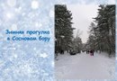 Зимняя прогулка в Сосновом бору города Кемерово