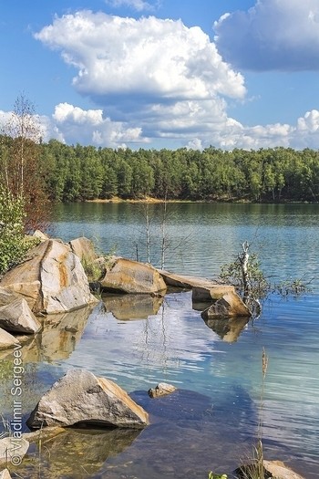 Small 0004969196 1 1