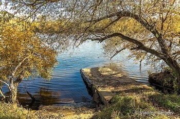 Small 0005458875 1 1