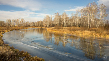 Small                                0008