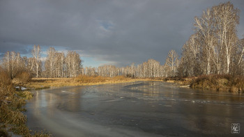 Small                                0013