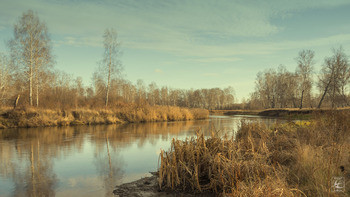 Small                                0011