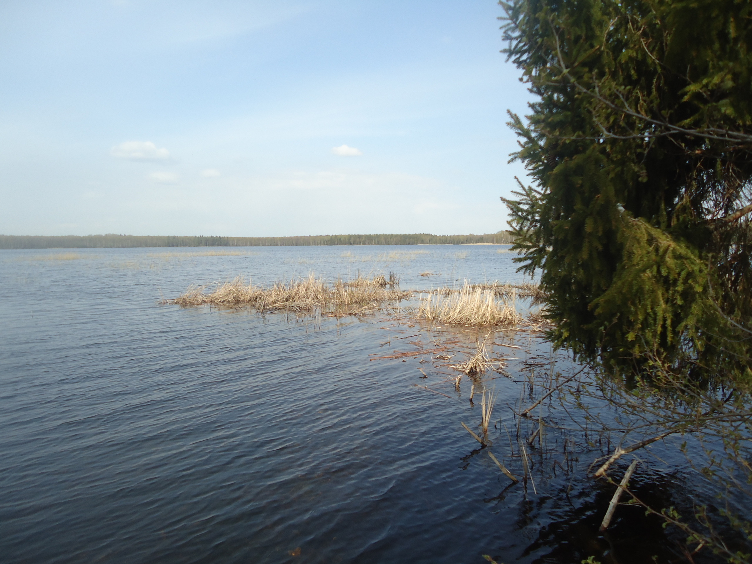 Васильевское озеро Тверская область