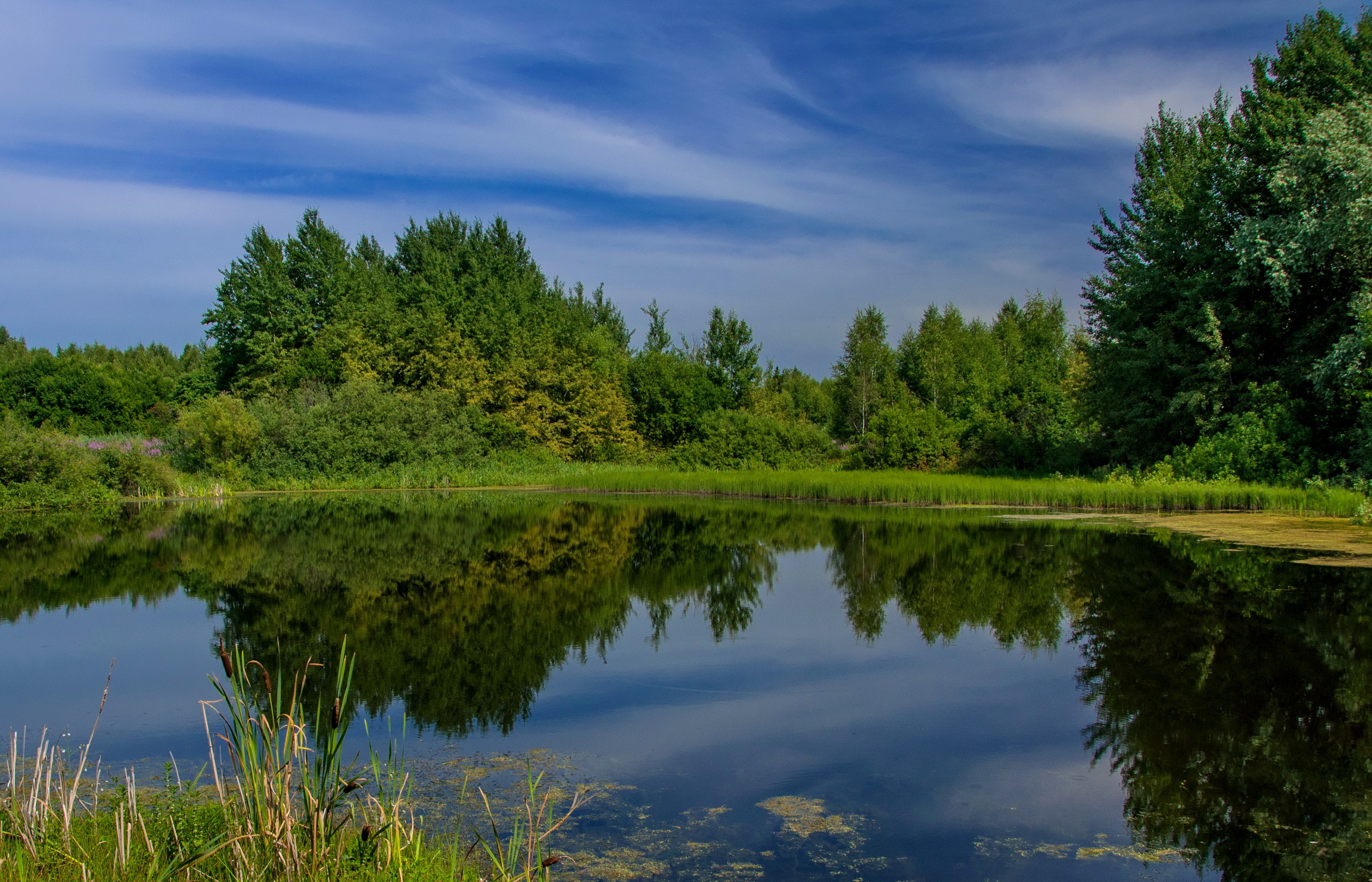 Лесные зоны воды. Водные объекты. Водные объекты России. Лесное озеро Подмосковье. Водные объекты картинки.