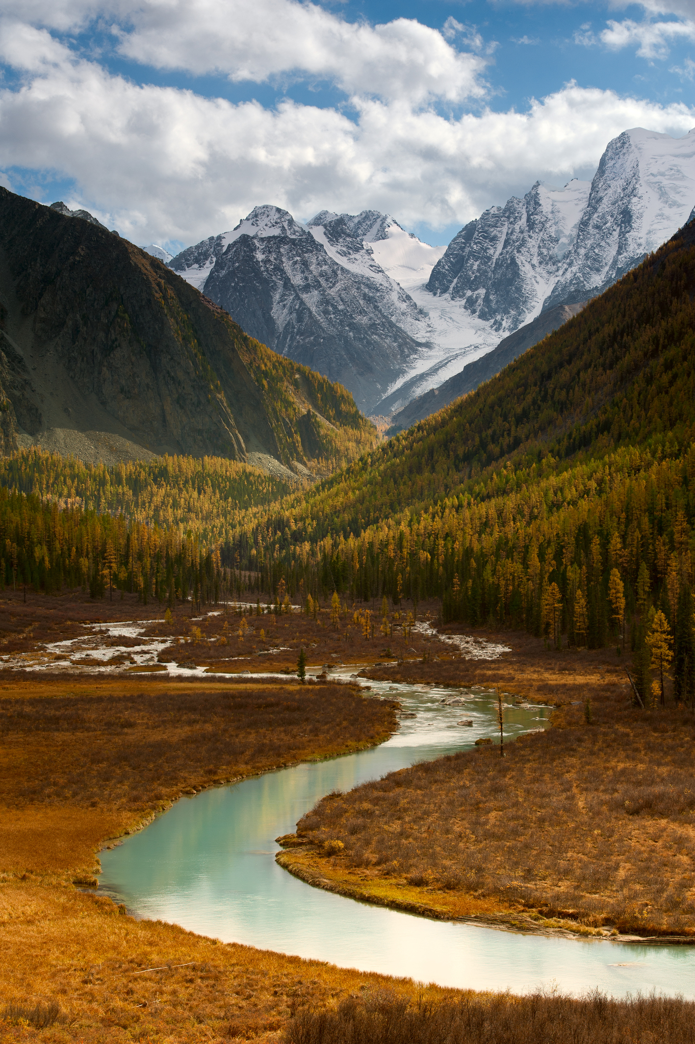 Красивый край. Алтай, Долина реки Шавла. Белуха горный Алтай. Республика Алтай гора Белуха. Золотые горы Алтая гора Белуха.