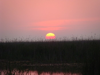 Small                                                6