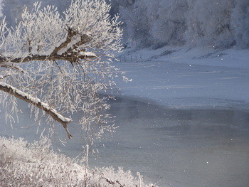 Small                        3