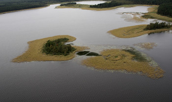 Small         2010 152