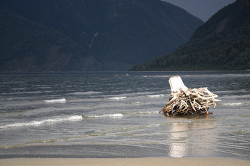 Small              2011 722