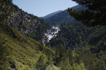 Small              2011 664