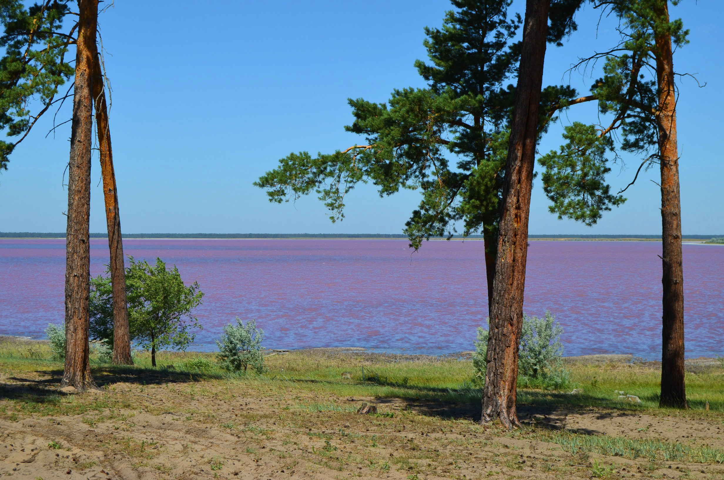 малиновое озеро фото алтайский край михайловский район