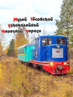 Музей Тесовской узкоколейки